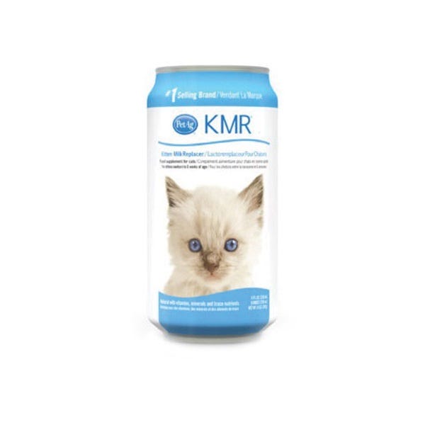 Where can i buy kmr for kittens on sale