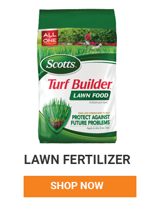 Feed your lawn so that it stays green and healthy all summer long.