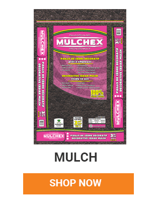 We have many cedar mulches to choose from. Shop NOw.