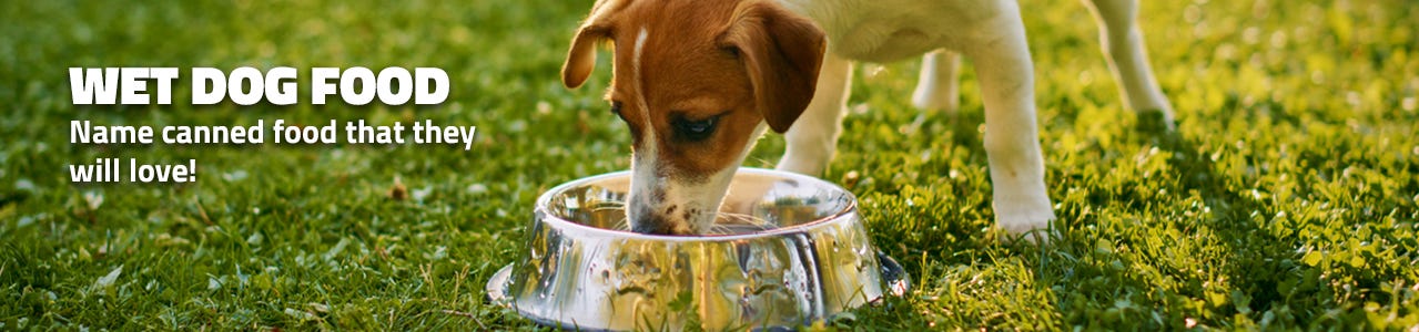 Wet Dog food keeping your pet healthy and happy.
