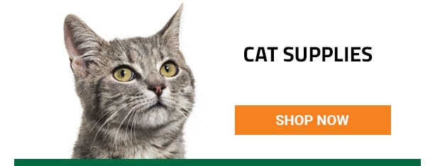 Get your cat supplies right here. Shop now.
