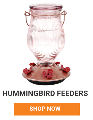 now is the time to get those hummingbird feeders up. We have many to chose from. Shop now.